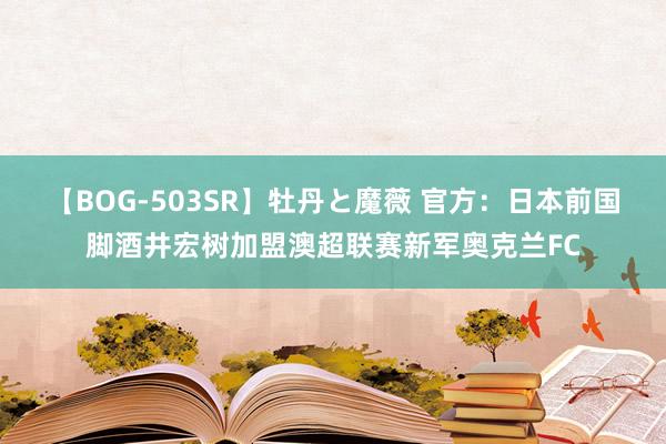 【BOG-503SR】牡丹と魔薇 官方：日本前国脚酒井宏树加盟澳超联赛新军奥克兰FC