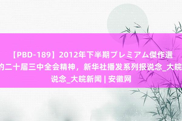 【PBD-189】2012年下半期プレミアム傑作選 学习贯彻党的二十届三中全会精神，新华社播发系列报说念_大皖新闻 | 安徽网