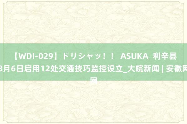 【WDI-029】ドリシャッ！！ ASUKA  利辛县8月6日启用12处交通技巧监控设立_大皖新闻 | 安徽网