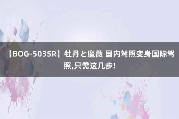 【BOG-503SR】牡丹と魔薇 国内驾照变身国际驾照，只需这几步!