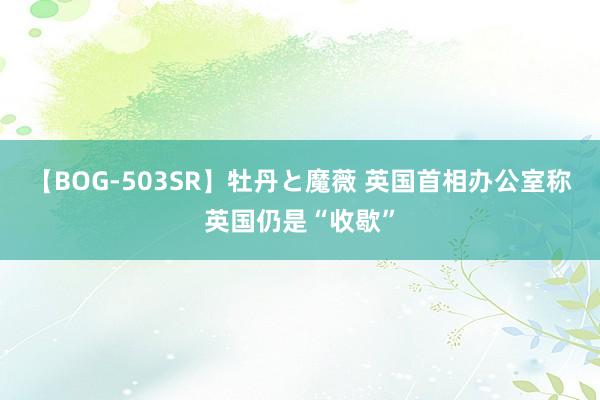 【BOG-503SR】牡丹と魔薇 英国首相办公室称英国仍是“收歇”