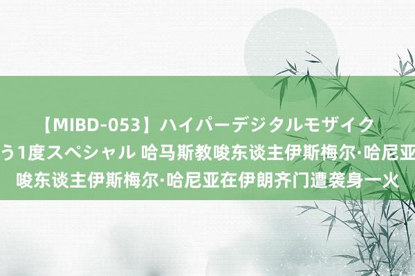 【MIBD-053】ハイパーデジタルモザイク あの娘のセックスをもう1度スペシャル 哈马斯教唆东谈主伊斯梅尔·哈尼亚在伊朗齐门遭袭身一火