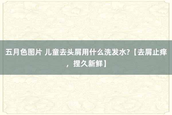 五月色图片 儿童去头屑用什么洗发水?【去屑止痒，捏久新鲜】