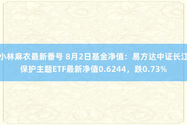 小林麻衣最新番号 8月2日基金净值：易方达中证长江保护主题ETF最新净值0.6244，跌0.73%