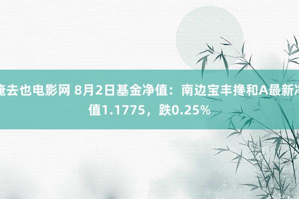 俺去也电影网 8月2日基金净值：南边宝丰搀和A最新净值1.1775，跌0.25%