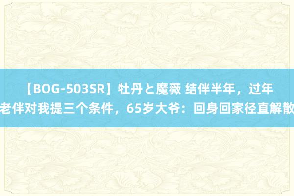 【BOG-503SR】牡丹と魔薇 结伴半年，过年老伴对我提三个条件，65岁大爷：回身回家径直解散