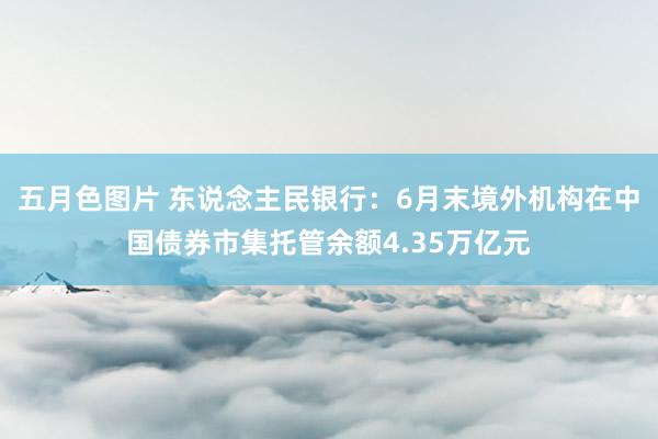 五月色图片 东说念主民银行：6月末境外机构在中国债券市集托管余额4.35万亿元