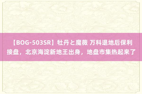 【BOG-503SR】牡丹と魔薇 万科退地后保利接盘，北京海淀新地王出身，地盘市集热起来了