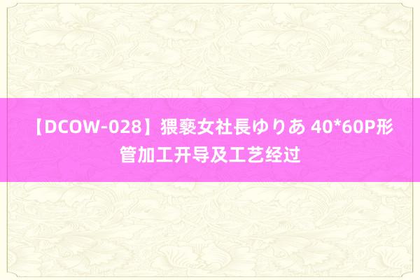 【DCOW-028】猥褻女社長ゆりあ 40*60P形管加工开导及工艺经过