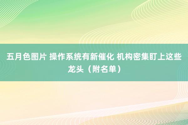 五月色图片 操作系统有新催化 机构密集盯上这些龙头（附名单）