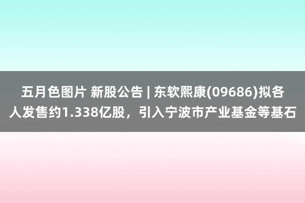 五月色图片 新股公告 | 东软熙康(09686)拟各人发售约1.338亿股，引入宁波市产业基金等基石