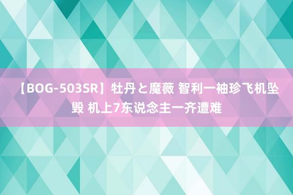 【BOG-503SR】牡丹と魔薇 智利一袖珍飞机坠毁 机上7东说念主一齐遭难