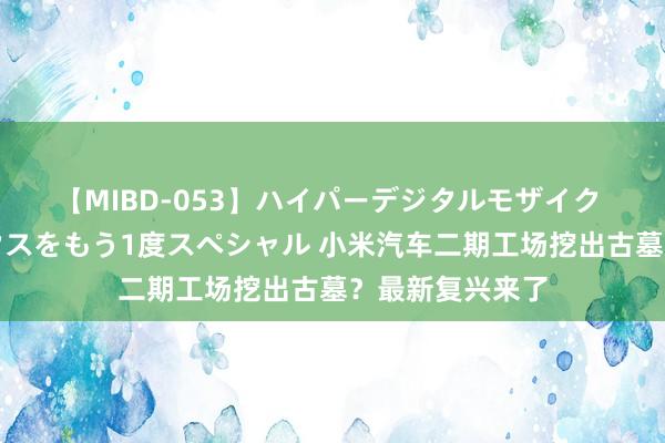 【MIBD-053】ハイパーデジタルモザイク あの娘のセックスをもう1度スペシャル 小米汽车二期工场挖出古墓？最新复兴来了