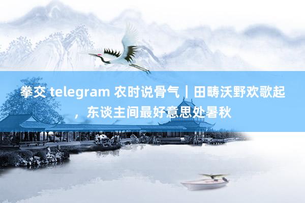 拳交 telegram 农时说骨气｜田畴沃野欢歌起，东谈主间最好意思处暑秋