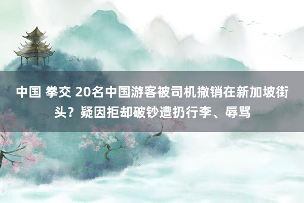 中国 拳交 20名中国游客被司机撤销在新加坡街头？疑因拒却破钞遭扔行李、辱骂