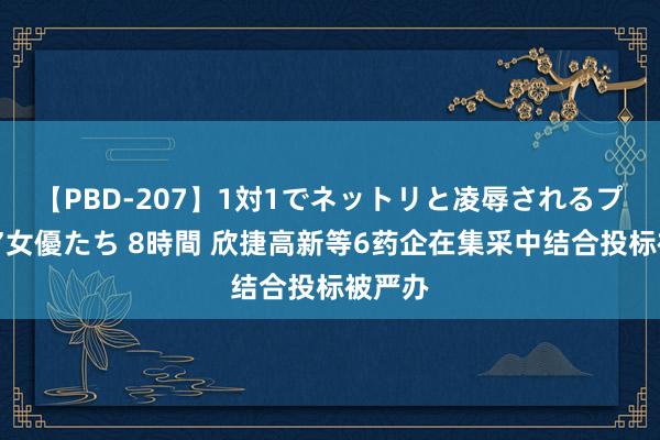 【PBD-207】1対1でネットリと凌辱されるプレミア女優たち 8時間 欣捷高新等6药企在集采中结合投标被严办