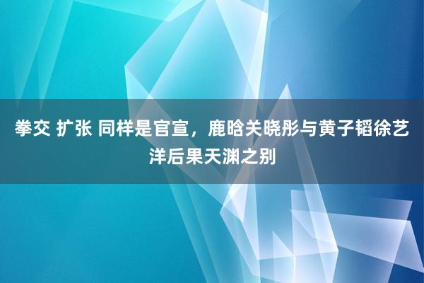 拳交 扩张 同样是官宣，鹿晗关晓彤与黄子韬徐艺洋后果天渊之别