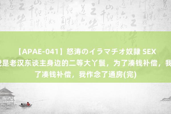 【APAE-041】怒涛のイラマチオ奴隷 SEXコレクション 我是老汉东谈主身边的二等大丫鬟，为了凑钱补偿，我作念了通房(完)