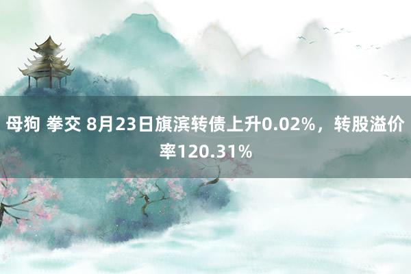 母狗 拳交 8月23日旗滨转债上升0.02%，转股溢价率120.31%