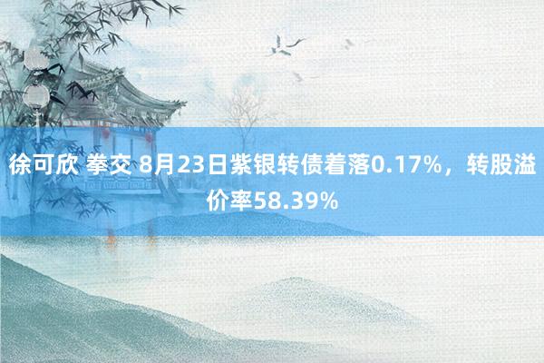 徐可欣 拳交 8月23日紫银转债着落0.17%，转股溢价率58.39%