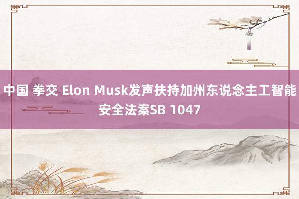 中国 拳交 Elon Musk发声扶持加州东说念主工智能安全法案SB 1047