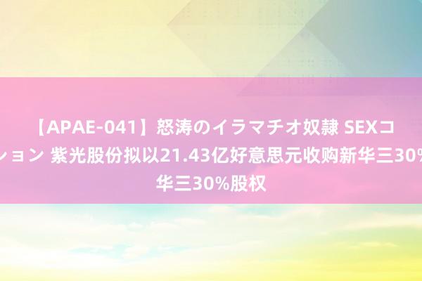 【APAE-041】怒涛のイラマチオ奴隷 SEXコレクション 紫光股份拟以21.43亿好意思元收购新华三30%股权