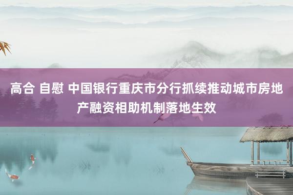 高合 自慰 中国银行重庆市分行抓续推动城市房地产融资相助机制落地生效