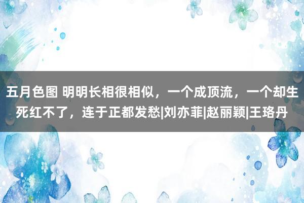 五月色图 明明长相很相似，一个成顶流，一个却生死红不了，连于正都发愁|刘亦菲|赵丽颖|王珞丹