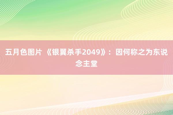 五月色图片 《银翼杀手2049》：因何称之为东说念主堂